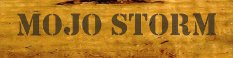mojo storm logo